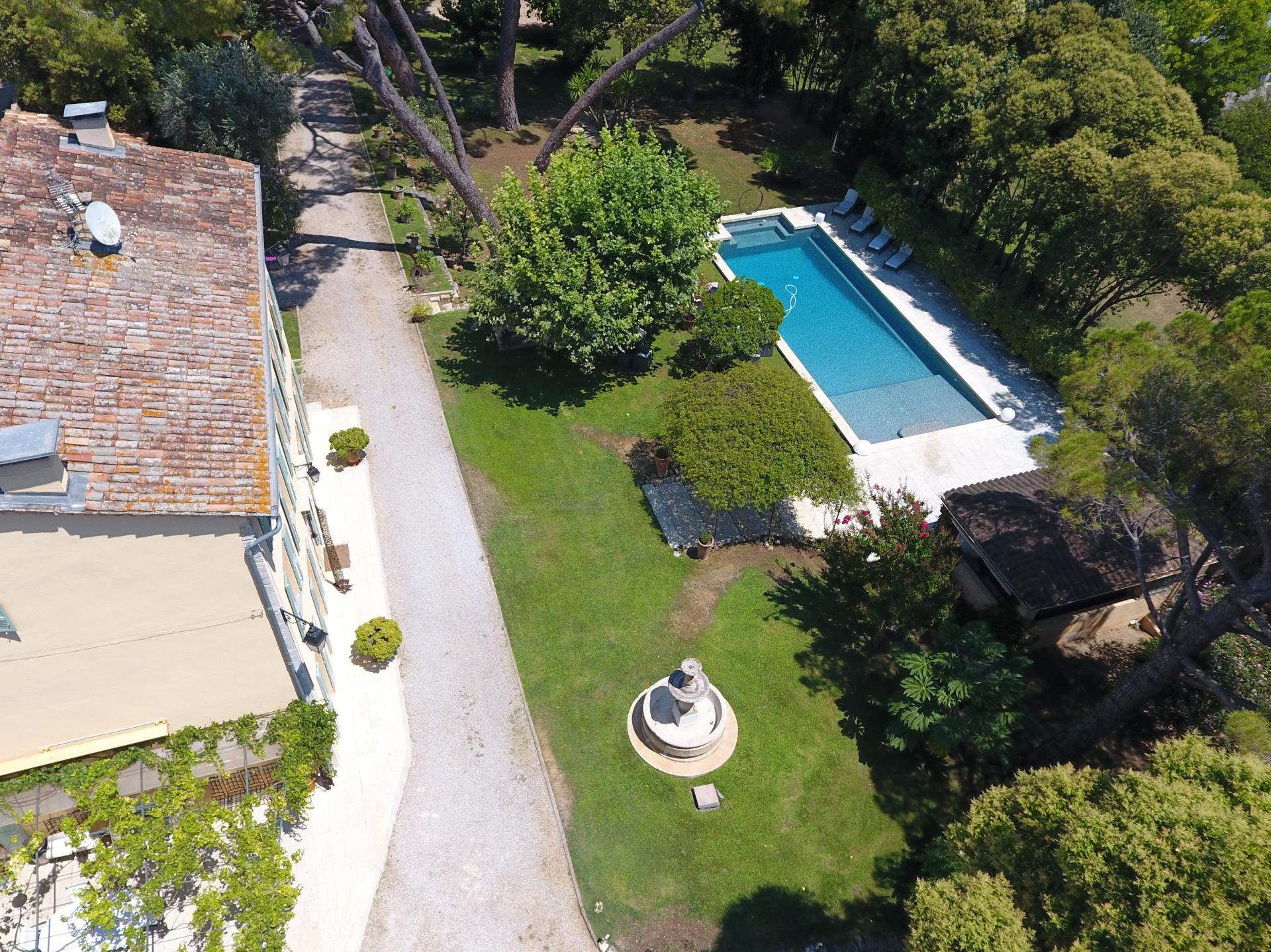 Les pins 1
