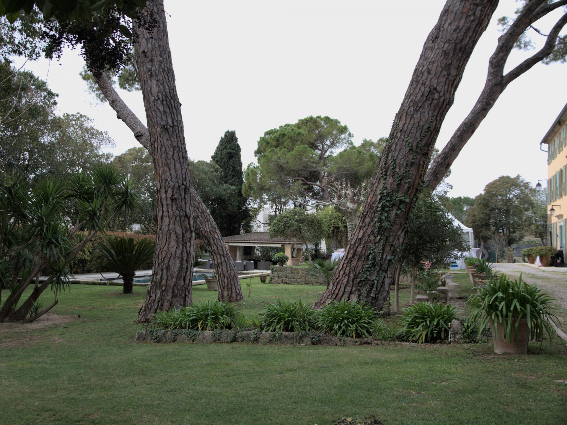 Les pins 6