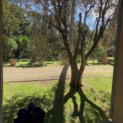 Le jardin