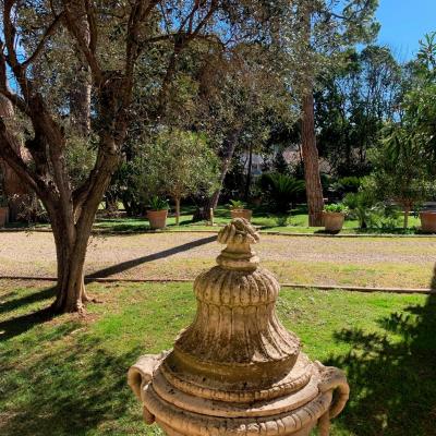 Le jardin (2)